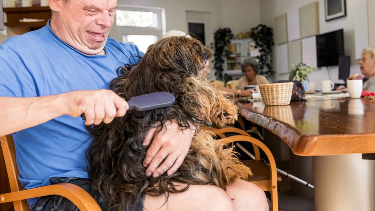 Is there pet insurance in the USA