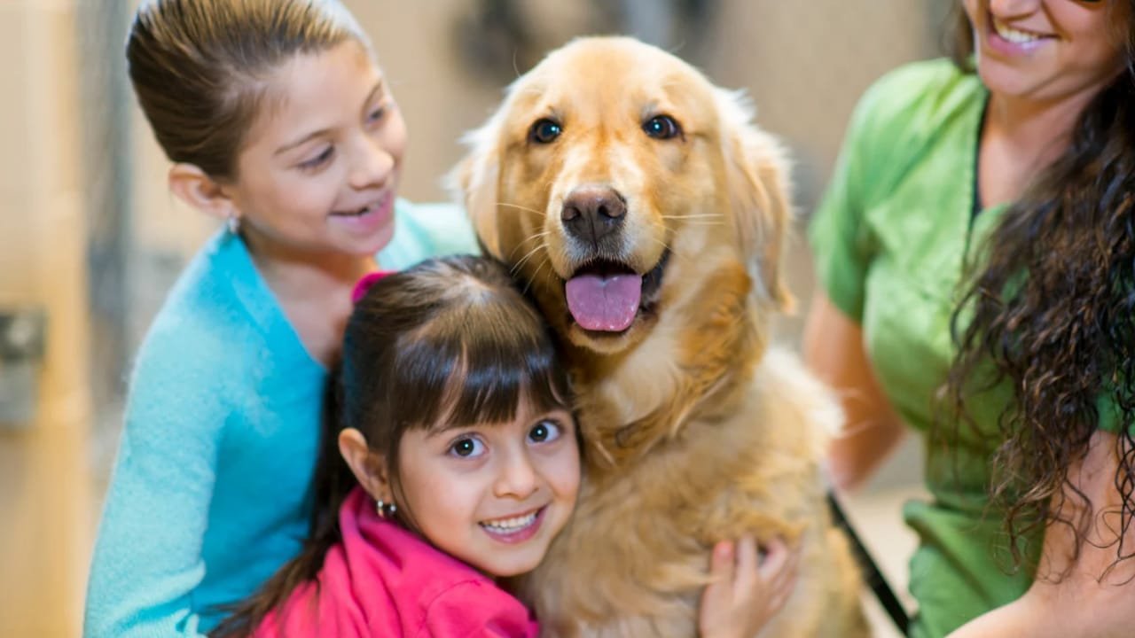 Best pet insurance companies in us 