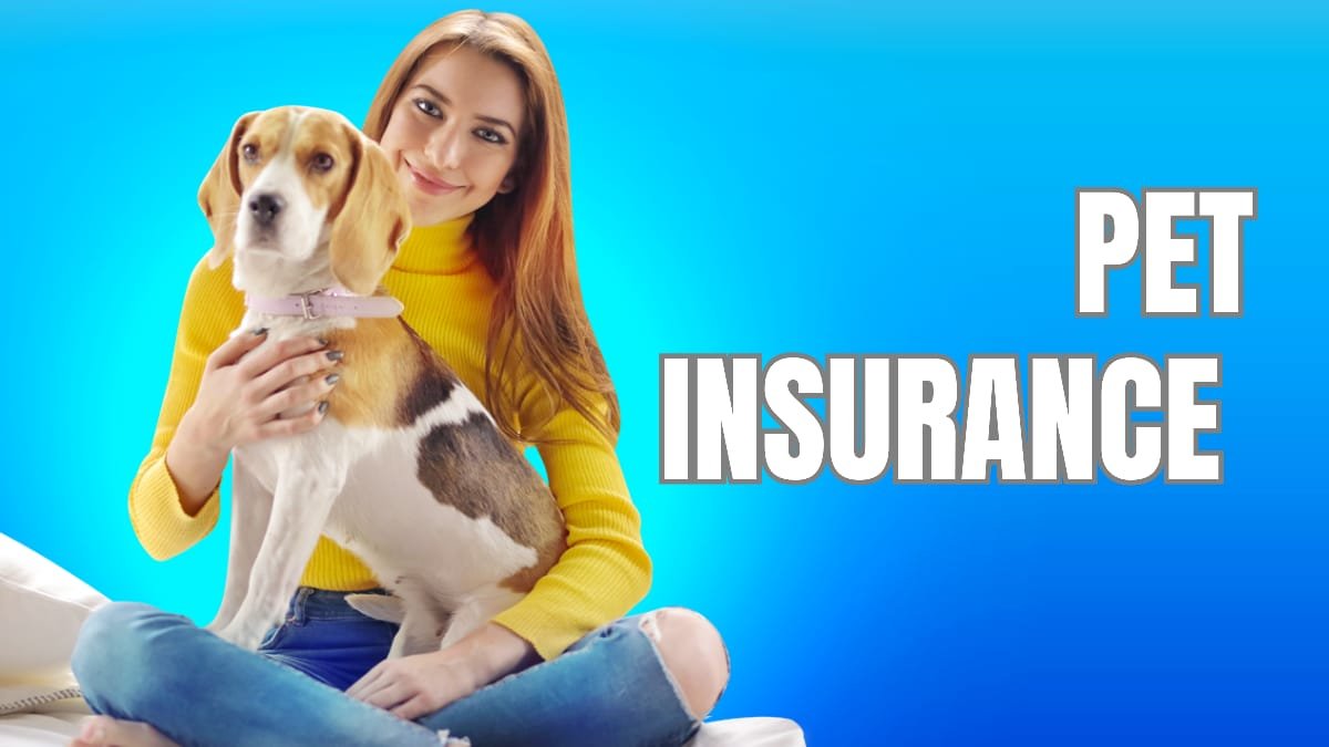 Best Pet Insurance Companies in India