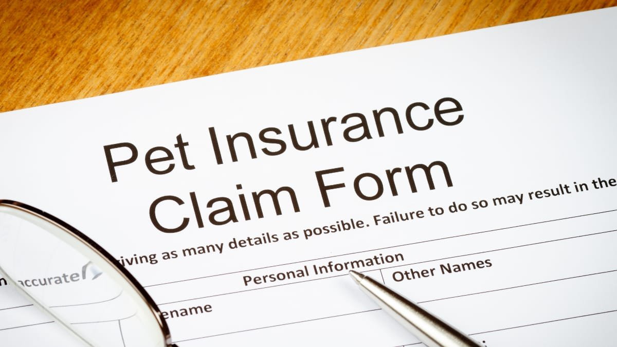 best dog insurance in india